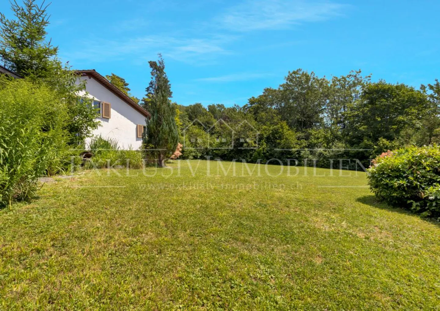 The window where happiness comes true - Photo 2 of 5