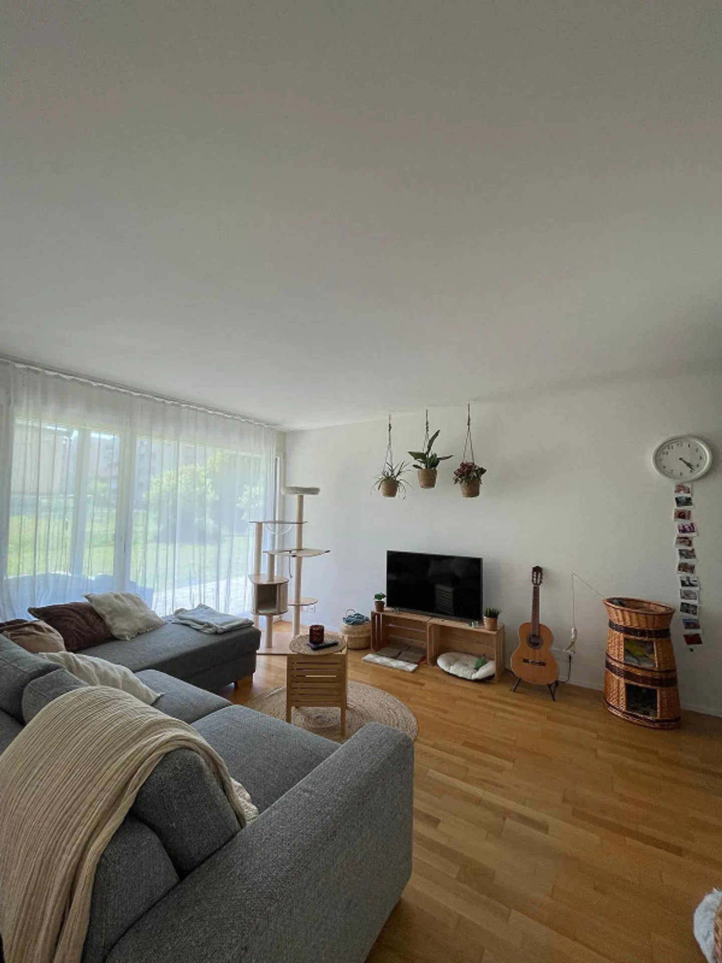 2.5 Room Apartment in Sursee, from July 1, 2026 - Photo 1 of 7