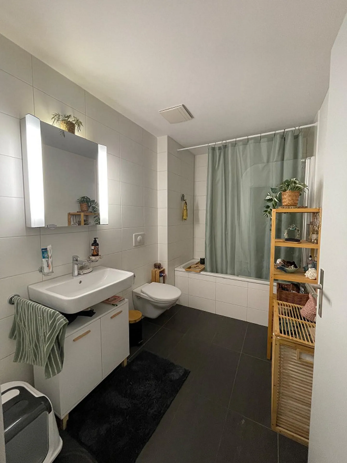 2.5 Room Apartment in Sursee, from July 1, 2026 - Photo 6 of 7