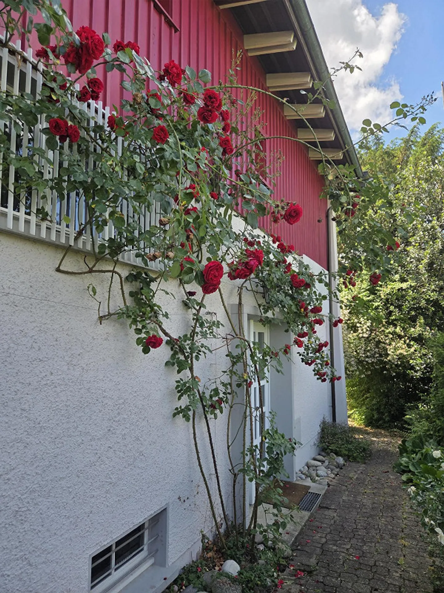 Charming Single-Family Home in a Quiet Location with Beautiful Rose Garden - Photo 3 of 16