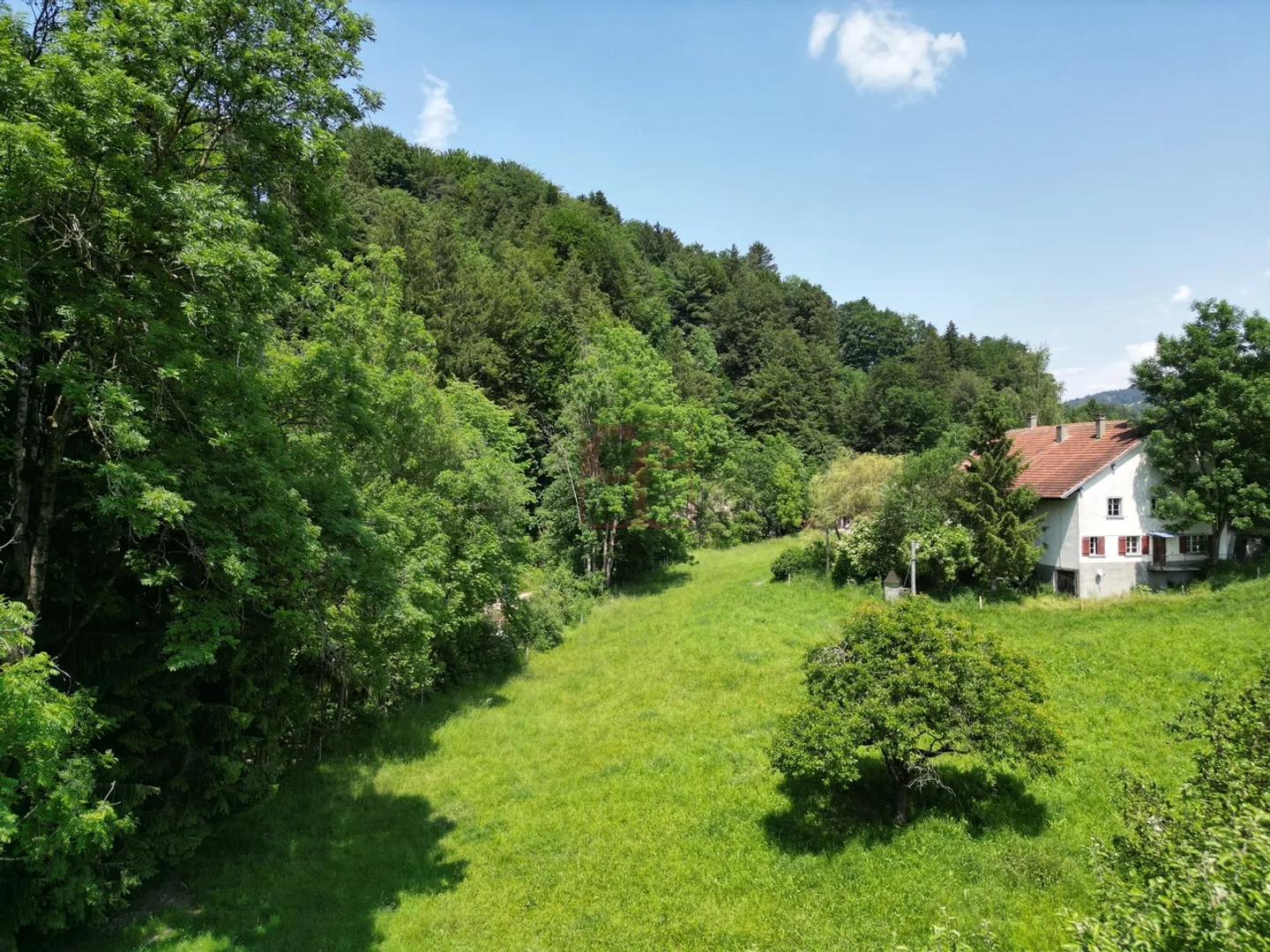 Die Roche - More than 2 villas available! - Photo 6 of 9