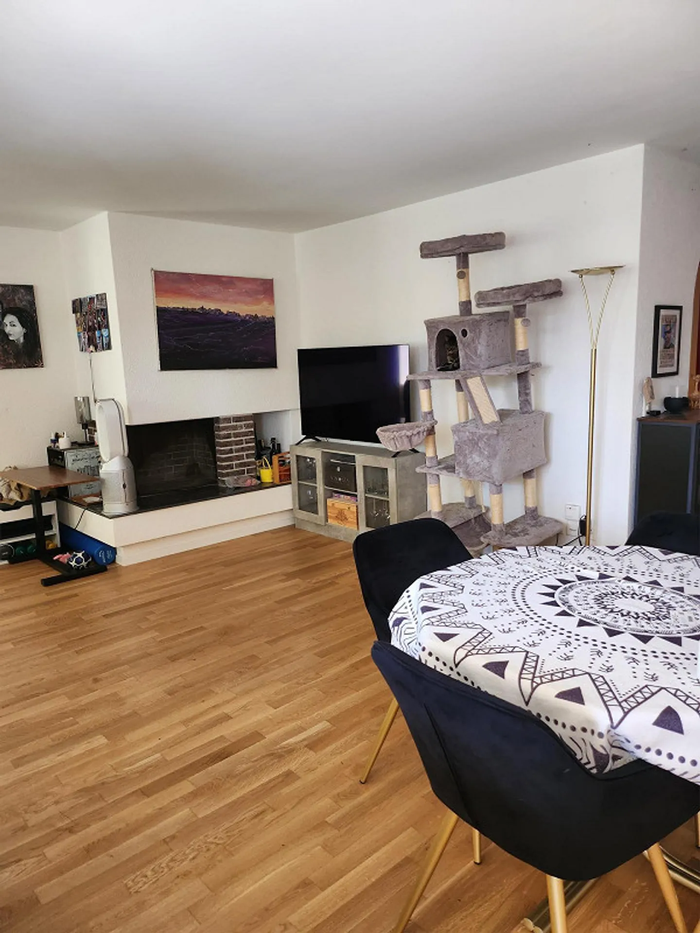 SPACIOUS APARTMENT NEAR BADEN - Photo 2 of 26
