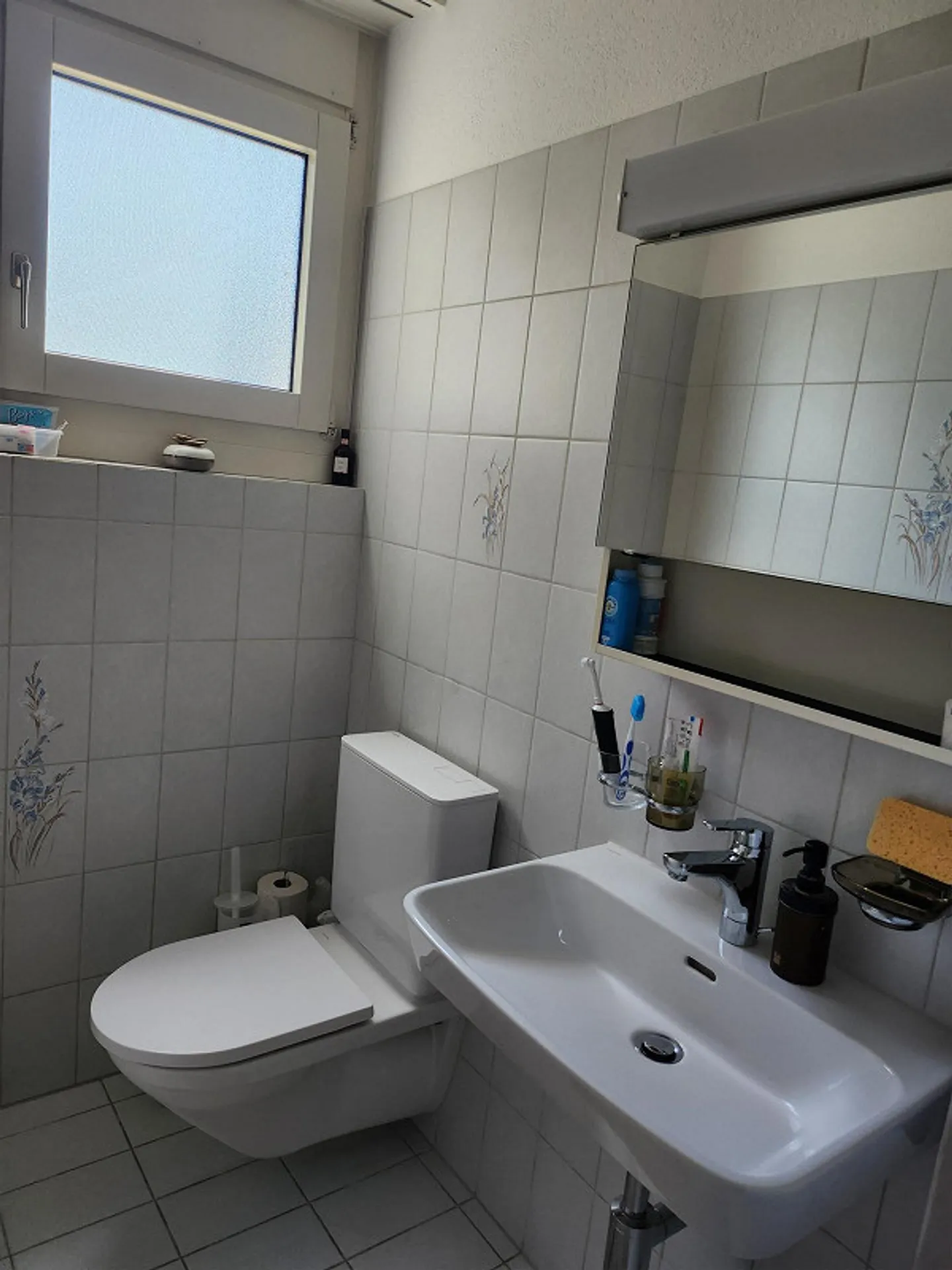 SPACIOUS APARTMENT NEAR BADEN - Photo 16 of 26