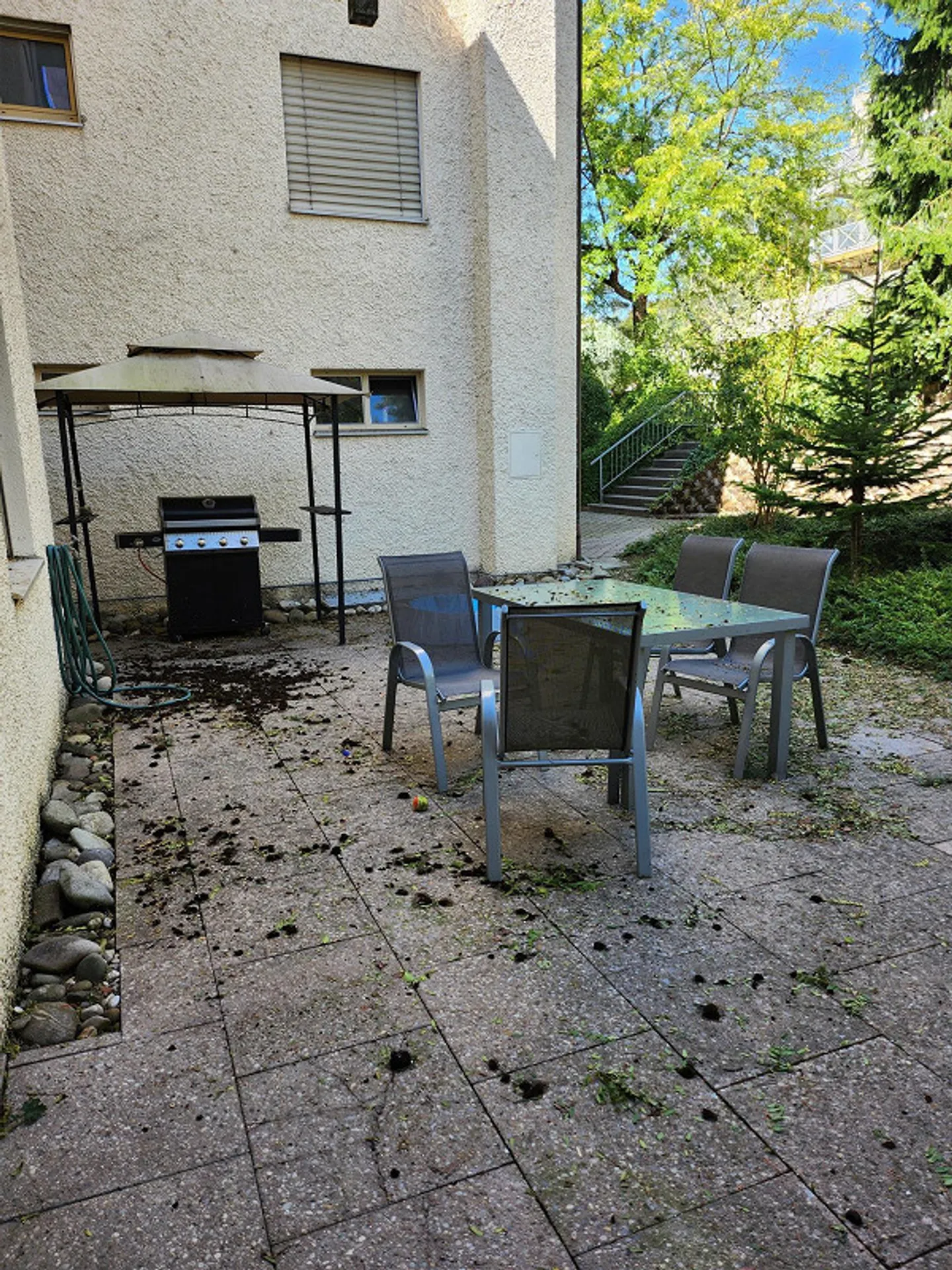 SPACIOUS APARTMENT NEAR BADEN - Photo 23 of 26