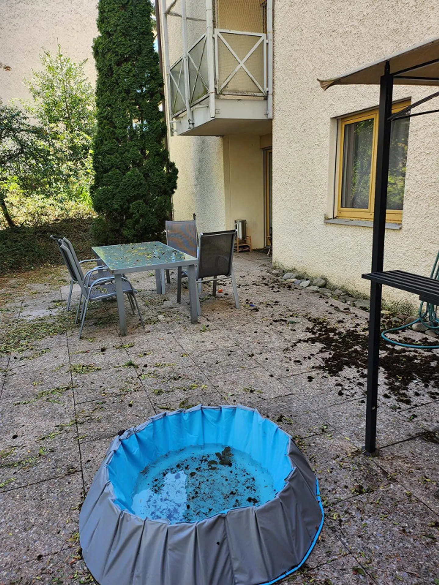 SPACIOUS APARTMENT NEAR BADEN - Photo 24 of 26