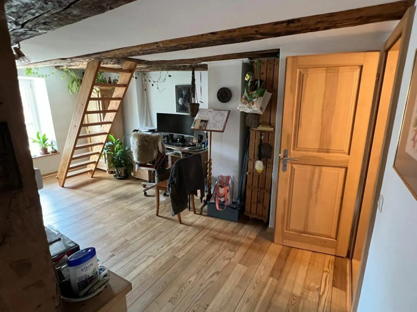 Living & Renting in the Green - Charming 3-Family House - Photo 6 of 12