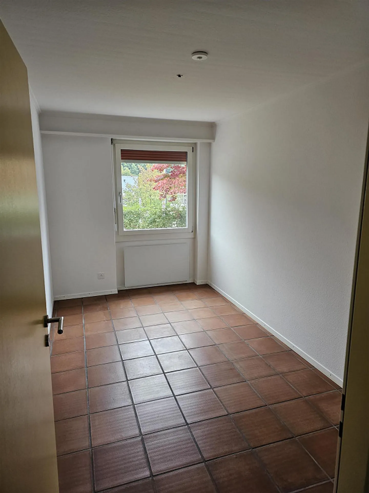 Renovierte Gartenwohnung - Foto 6 von 11