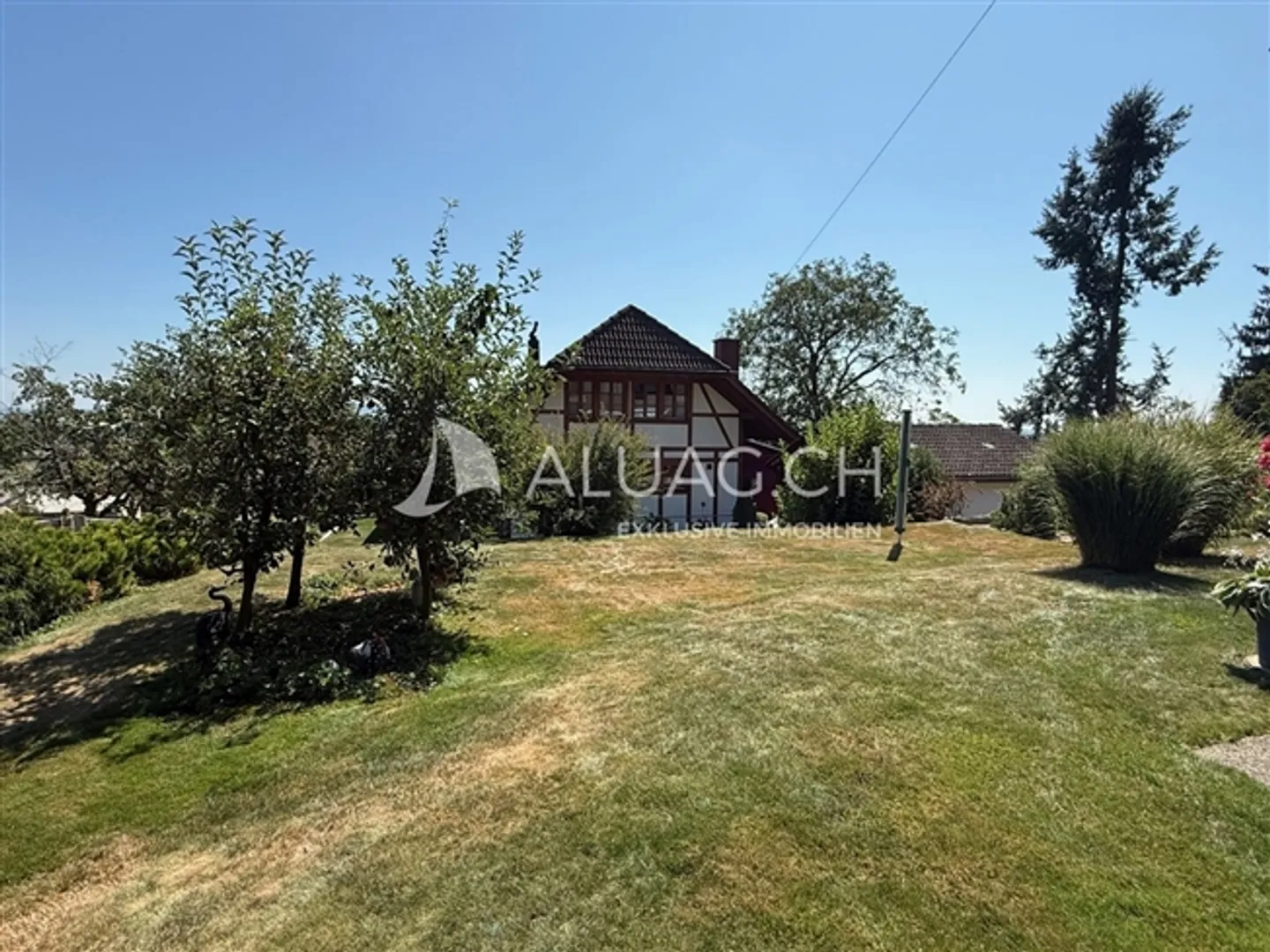 Happiness in the Midst of Green Idyllic - Photo 13 of 13