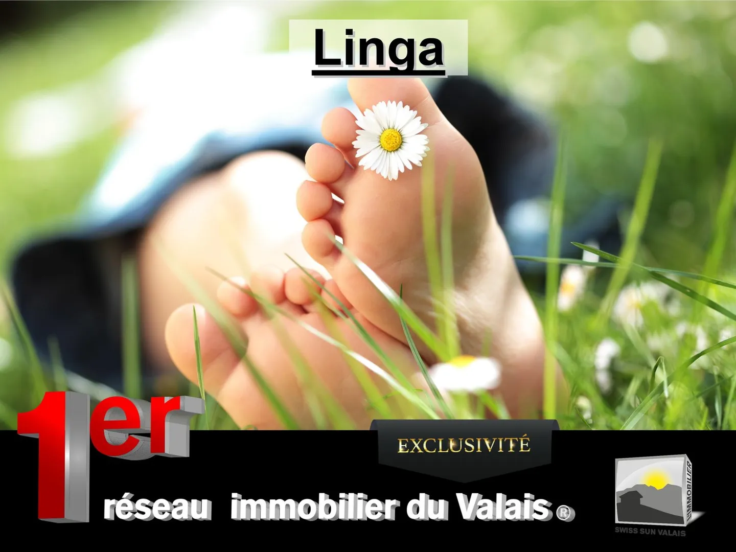 SIERRE/ Je suis "LINGA": Terrain à bâtir dans un quartier de villas de plus de 700 m² à vendre dans le Valais - Photo 1 sur 2