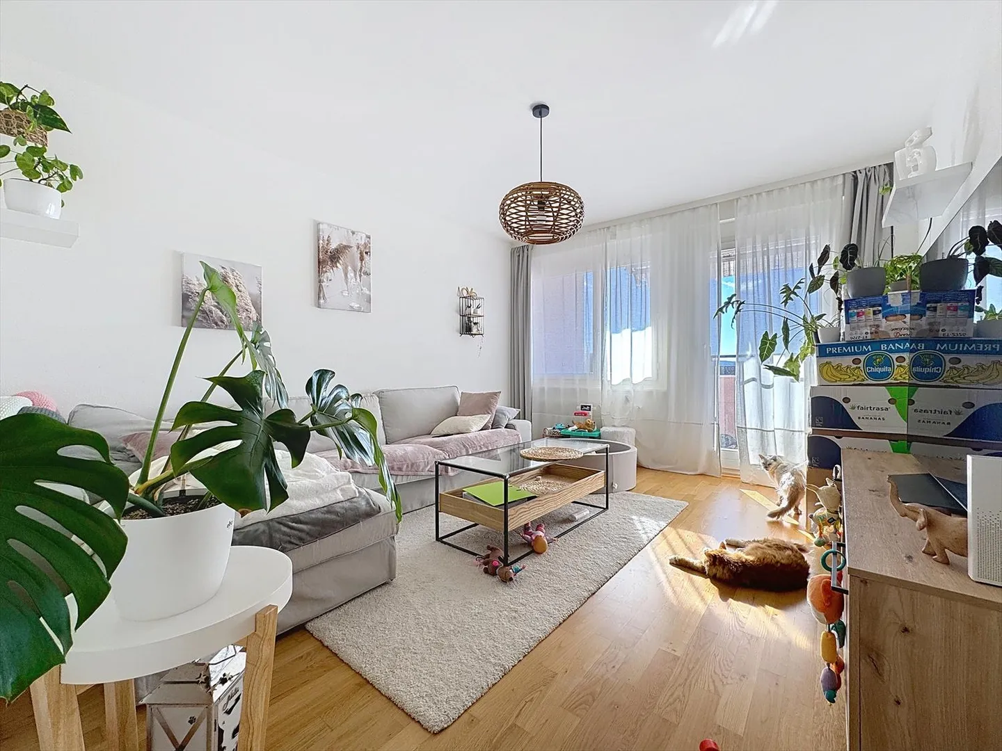 Appartement 3.5 pièces - Photo 1 sur 9