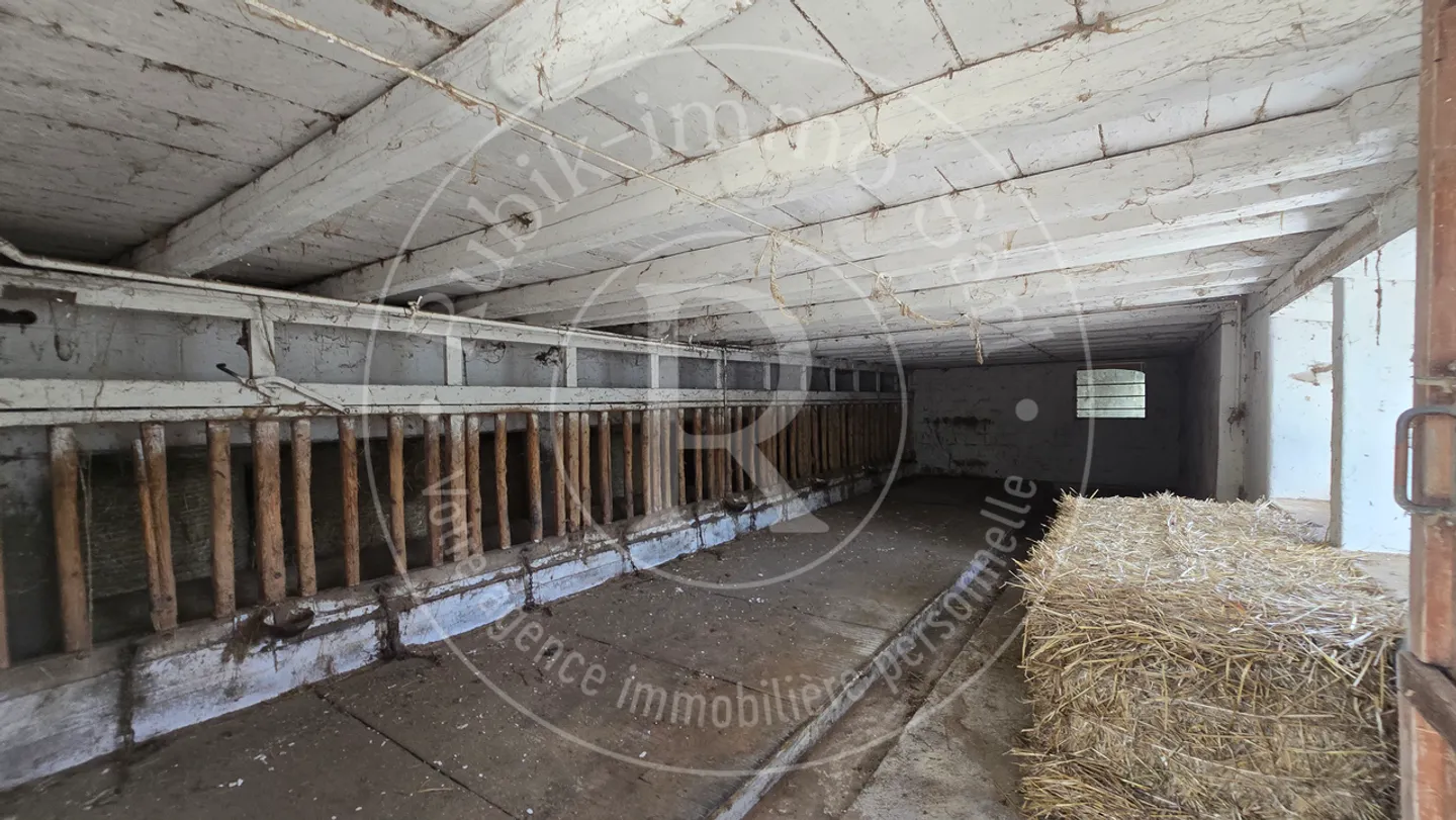 Bauernhof 7 Zimmer - Foto 6 von 13