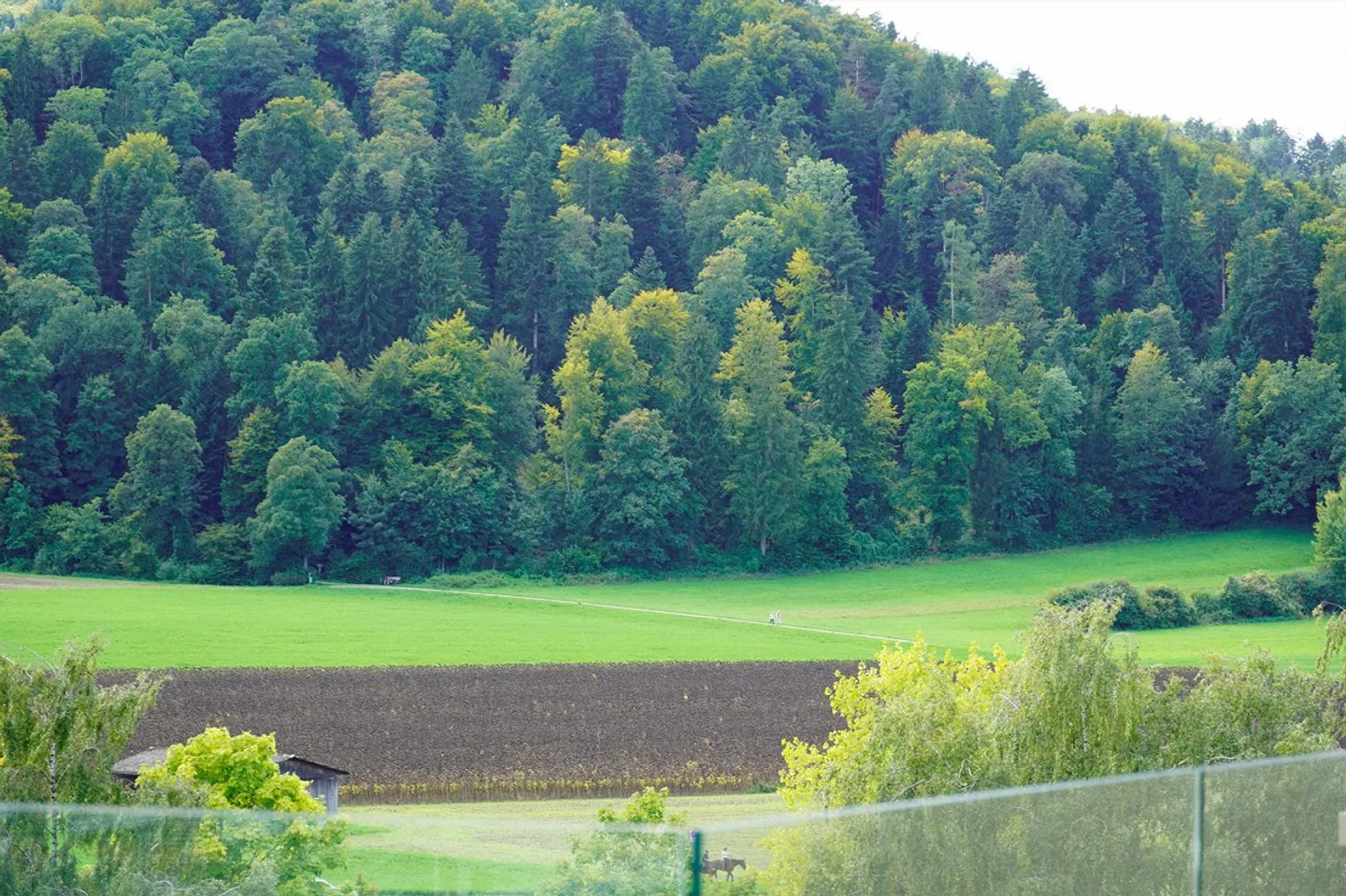 Attique spacieux, 2,5 pièces, vue fantastique sur la verdure ! - Photo 13 sur 13