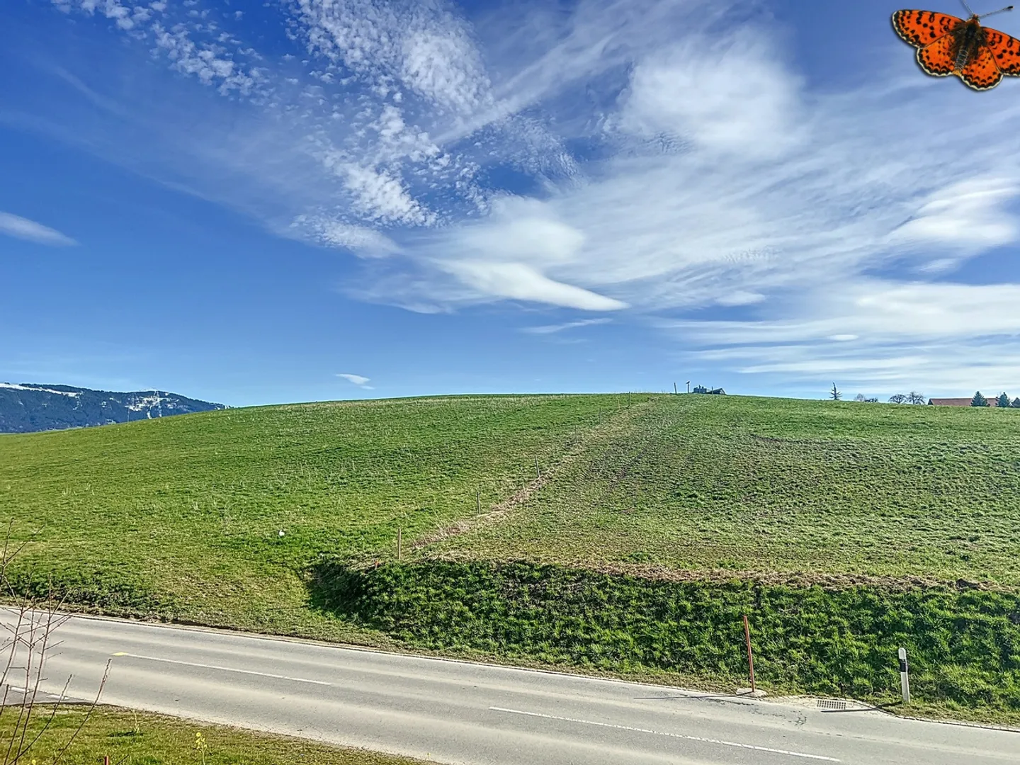 3.5 Room Apartment - Photo 12 of 13