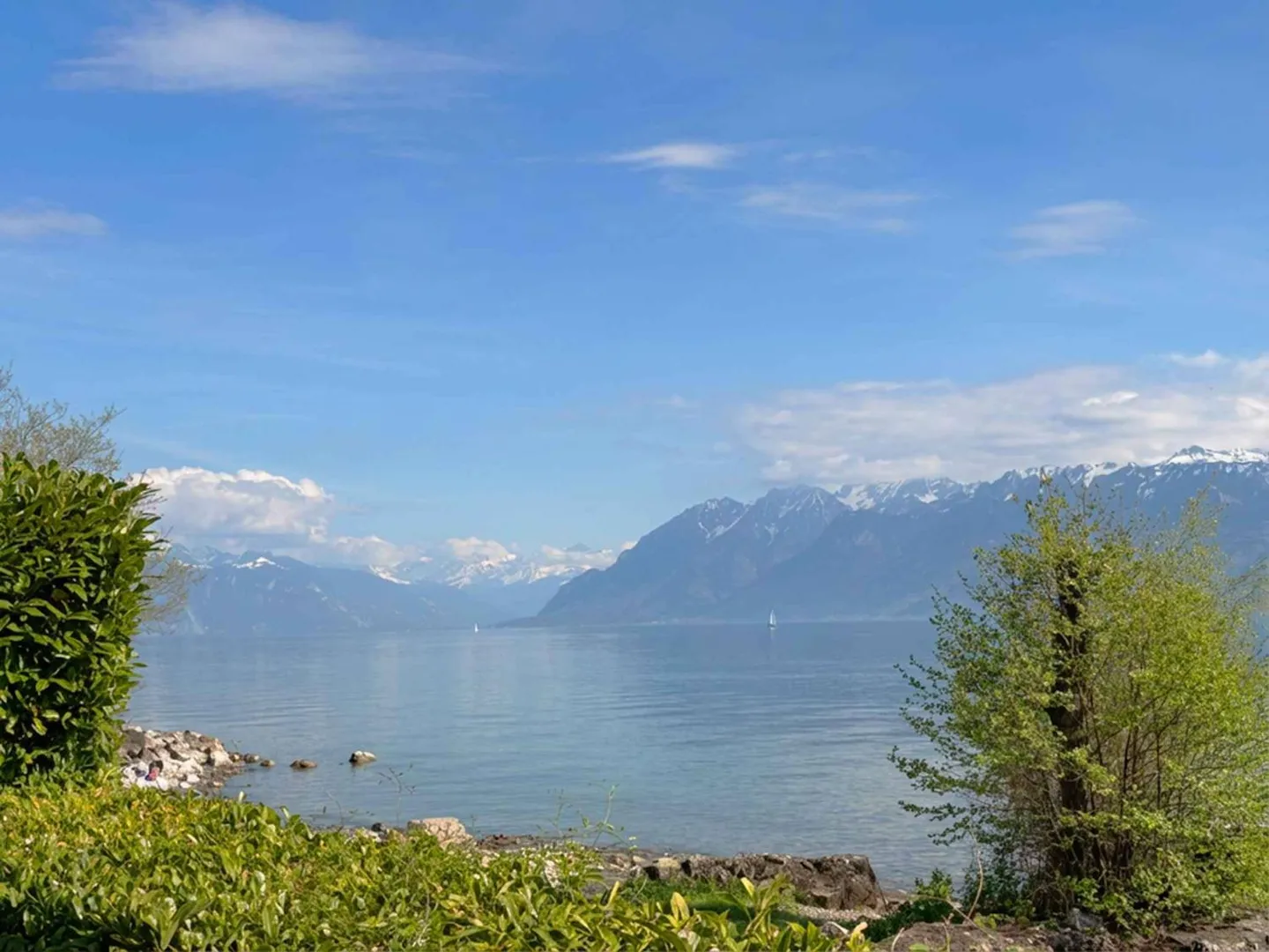 Extraordinary apartment in the first row by the lake in Pully. Rarely for sale! - Photo 4 of 4