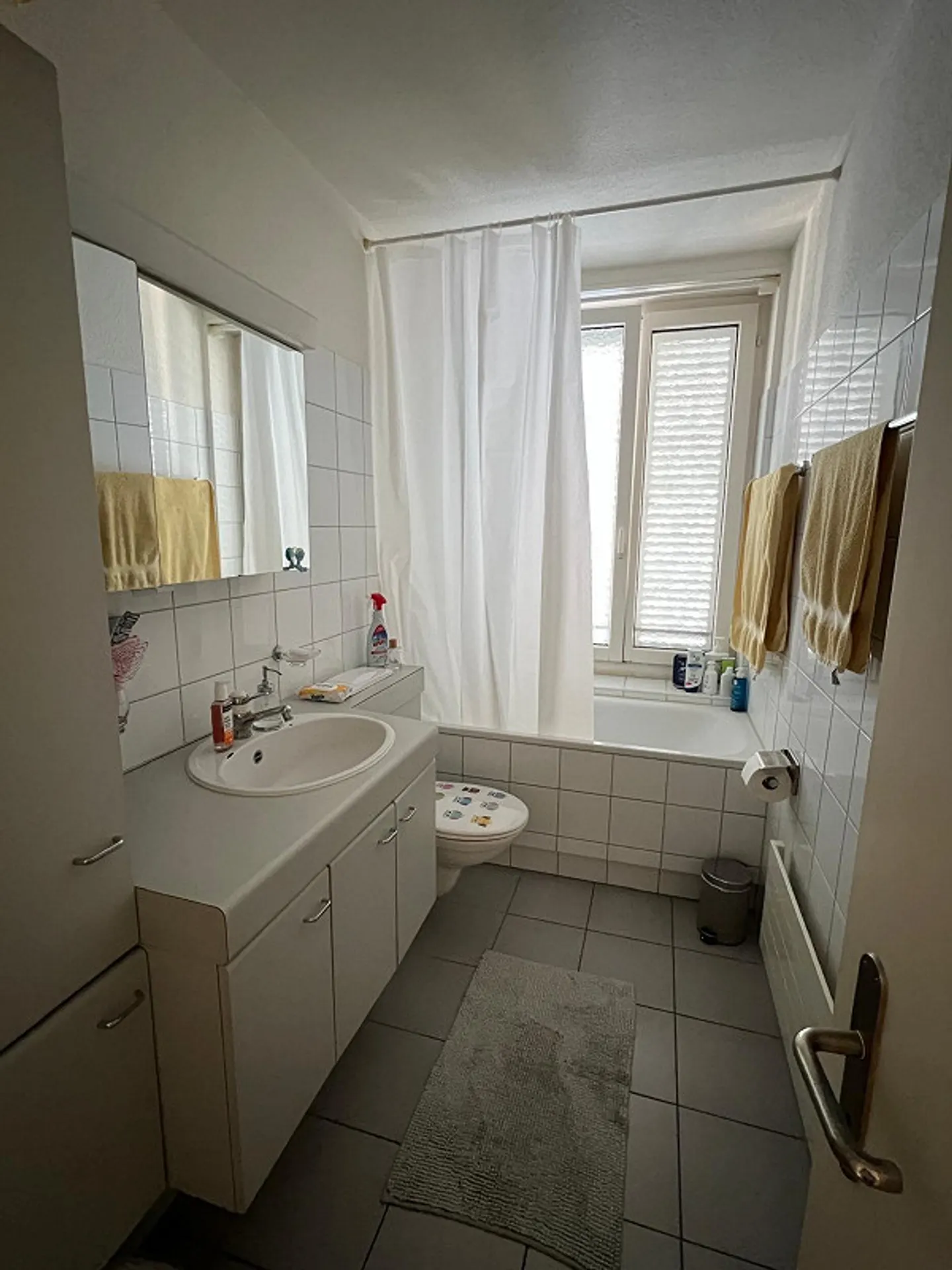 Affordable 3.5 Room Apartment in Schlieren - Photo 3 of 6