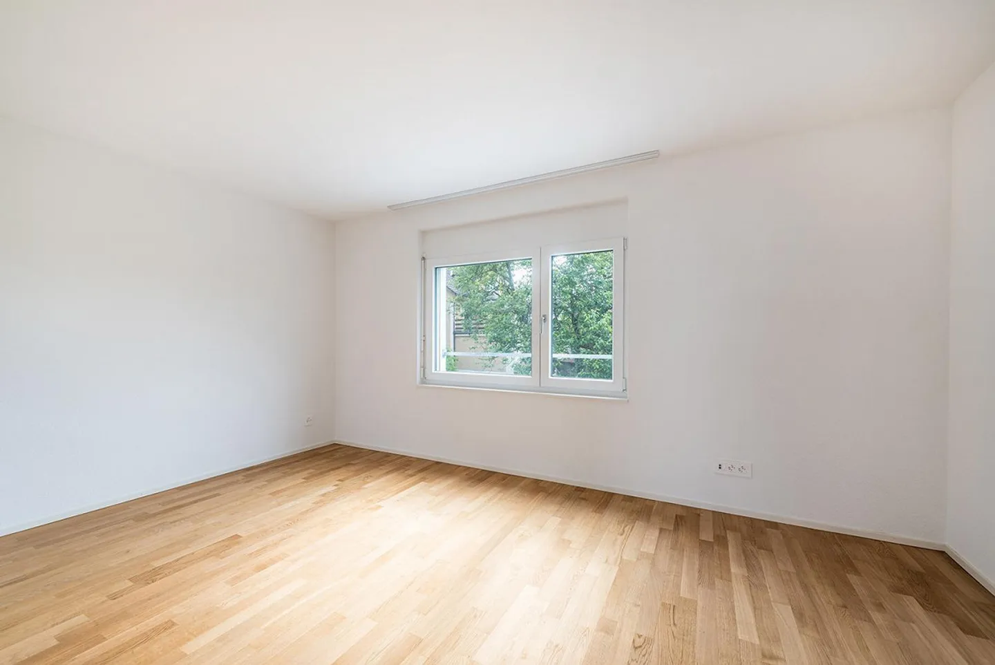 Vie moderne dans le beau Neukirch - Photo 5 sur 9
