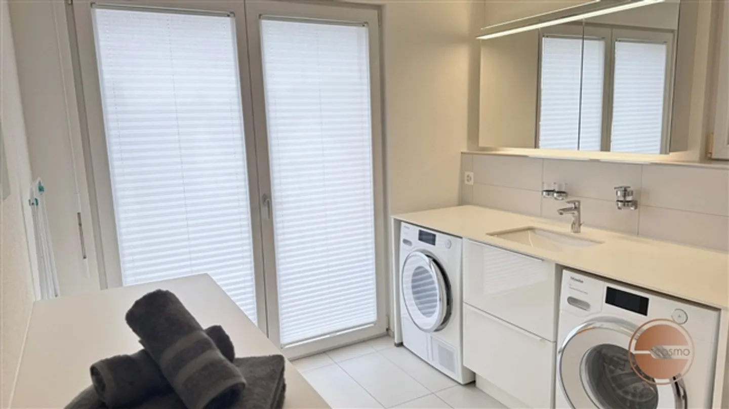 APPARTAMENTO PENTHOUSE CENTRALE A ZURIGO NORD - Foto 11 di 14