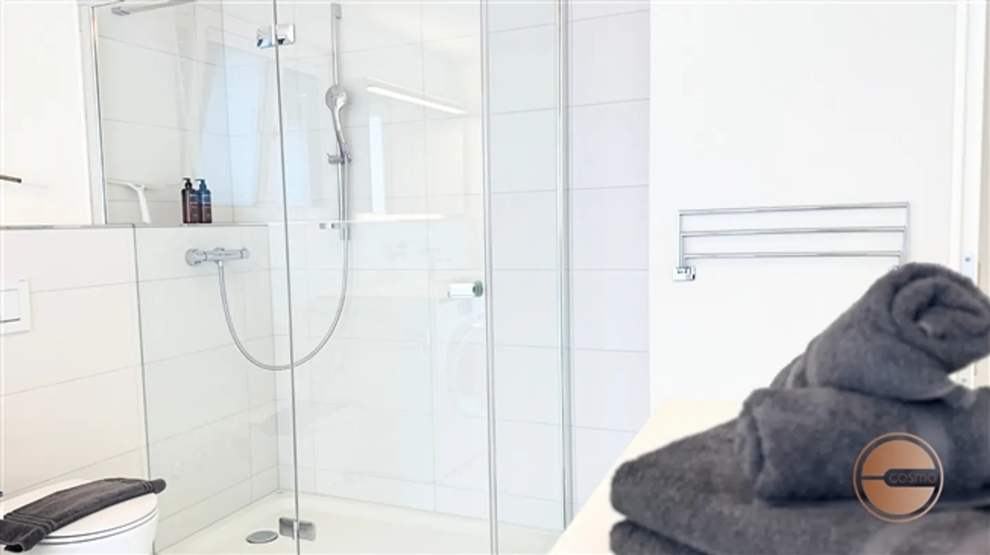 APPARTAMENTO PENTHOUSE CENTRALE A ZURIGO NORD - Foto 13 di 14