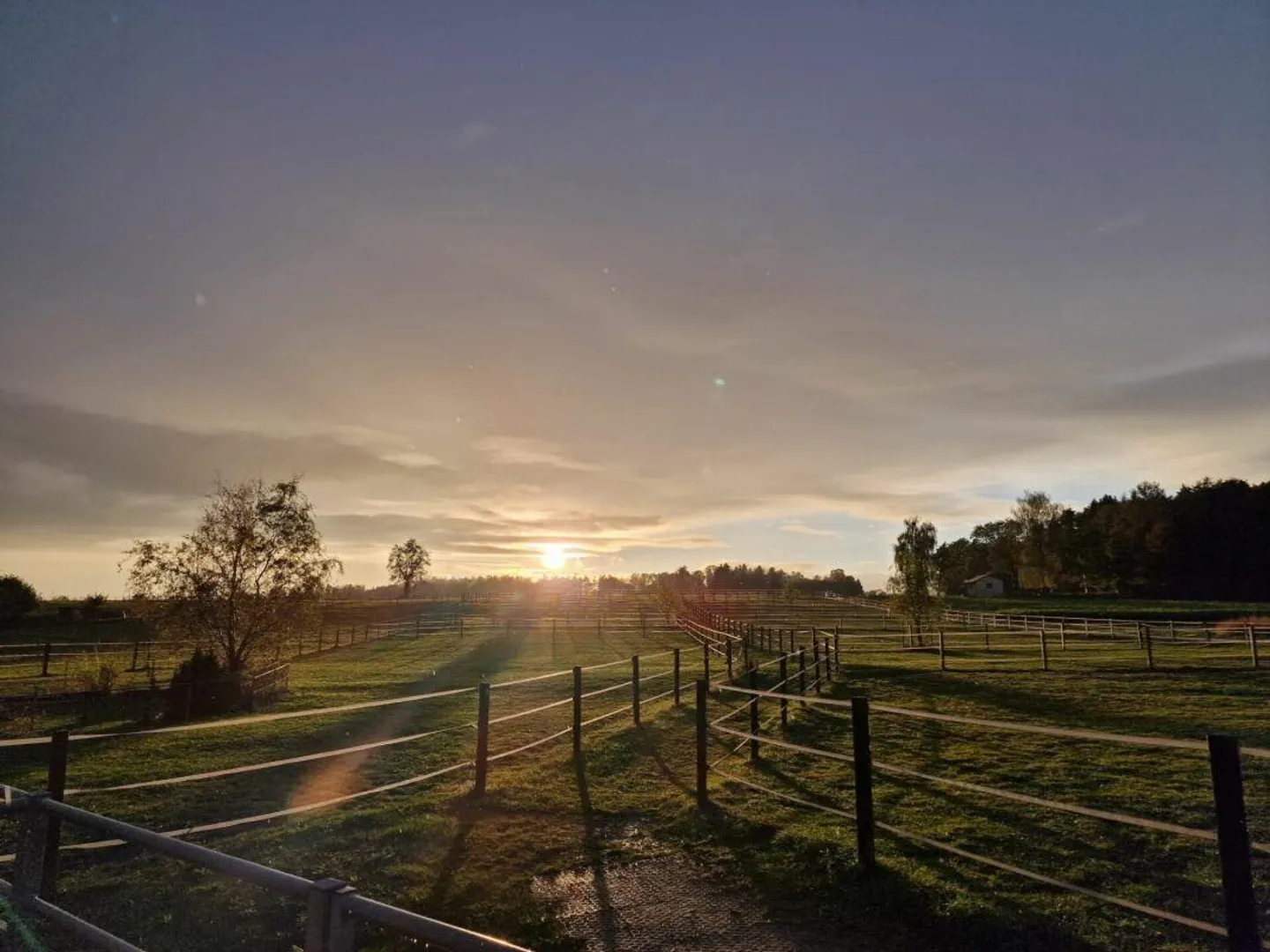 Riservato! Proprietà equestre con casa e arena di equitazione - Foto 27 di 30