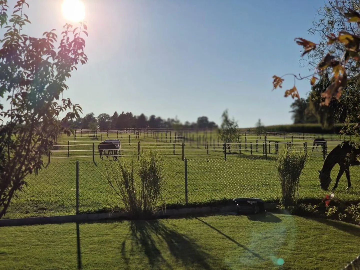 Riservato! Proprietà equestre con casa e arena di equitazione - Foto 28 di 30