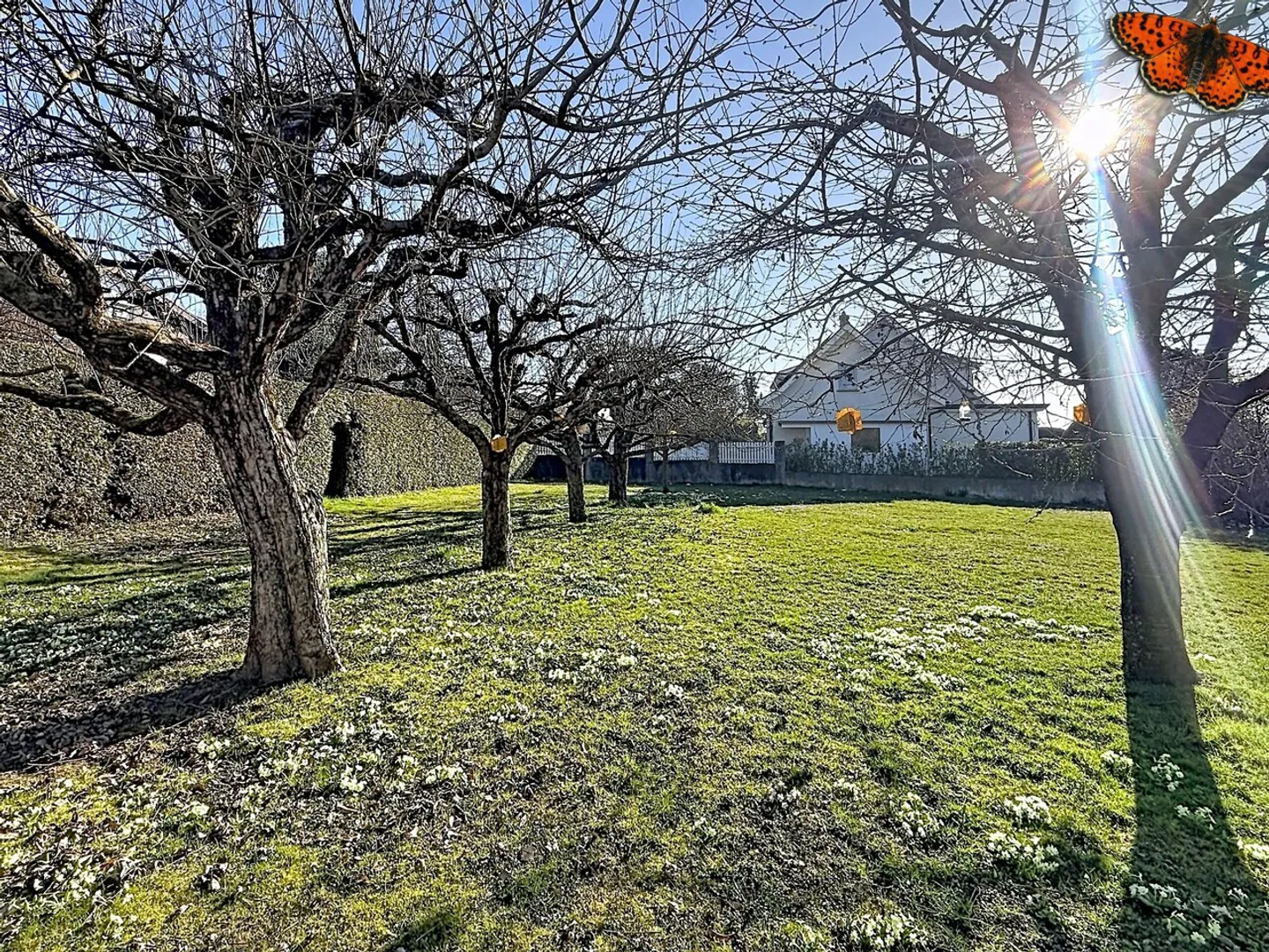 Villa Charmante au Calme - Photo 4 sur 14