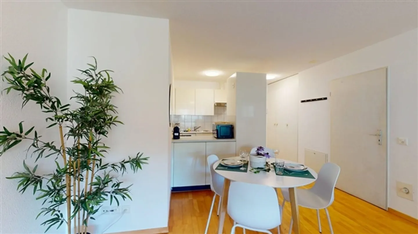 «Neugasse 83 – Stilvolles, neu möbliertes Studio im Herzen von Zürich!» - Foto 2 von 6