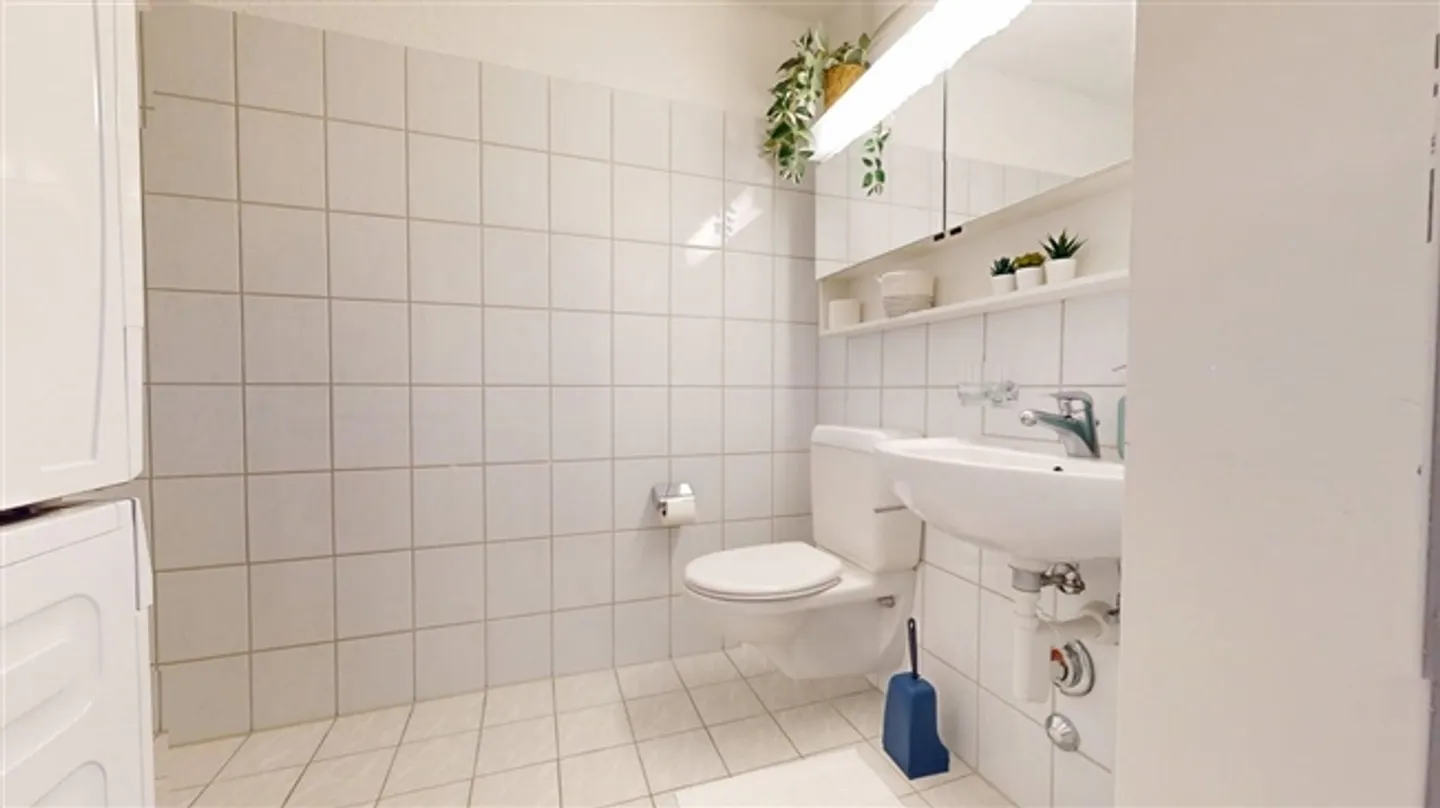 «Neugasse 83 – Stilvolles, neu möbliertes Studio im Herzen von Zürich!» - Foto 6 von 6