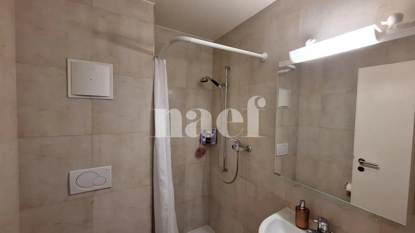 Appartamento 4.5 locali - Foto 7 di 8