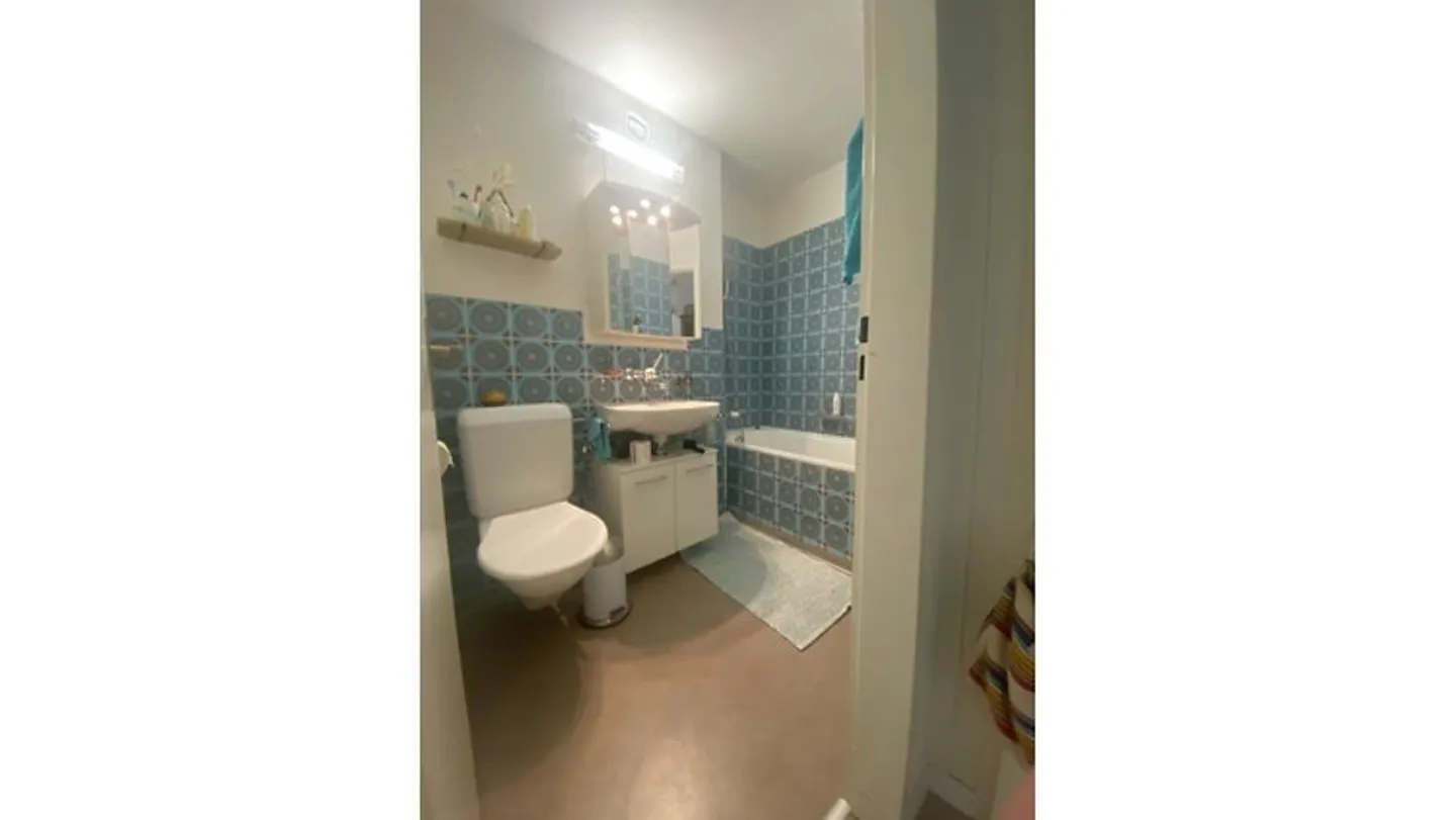 2½ ROOM APARTMENT IN RICHTERSWIL (ZH), FURNISHED, TEMPORARY - Photo 5 of 7