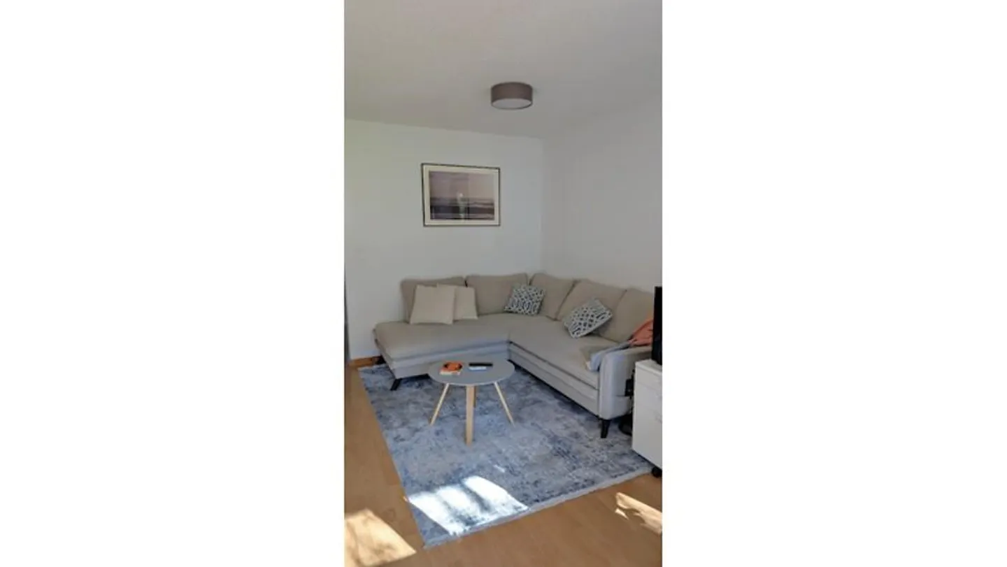 2½ BR APARTMENT IN ADLISWIL (ZH), FURNISHED, TEMPORARY - Photo 2 of 10