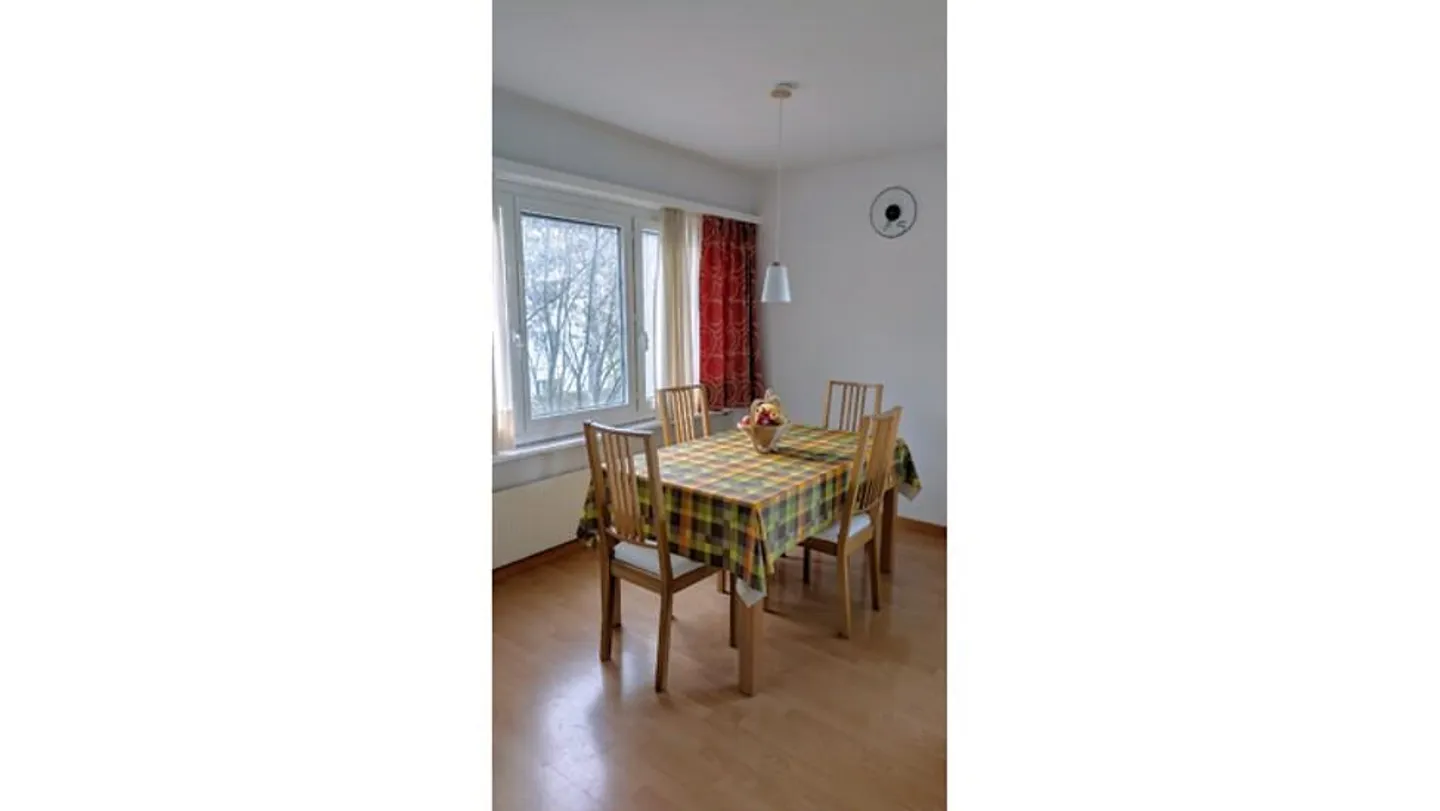 2½ BR APARTMENT IN ADLISWIL (ZH), FURNISHED, TEMPORARY - Photo 6 of 10