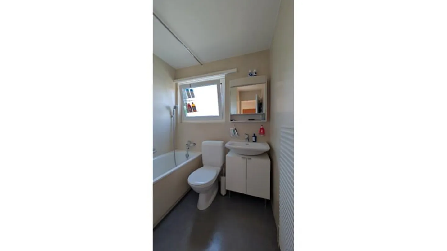 2½ BR APARTMENT IN ADLISWIL (ZH), FURNISHED, TEMPORARY - Photo 10 of 10