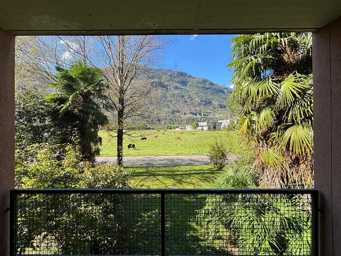 Comfortable apartment with balcony - Photo 12 of 13