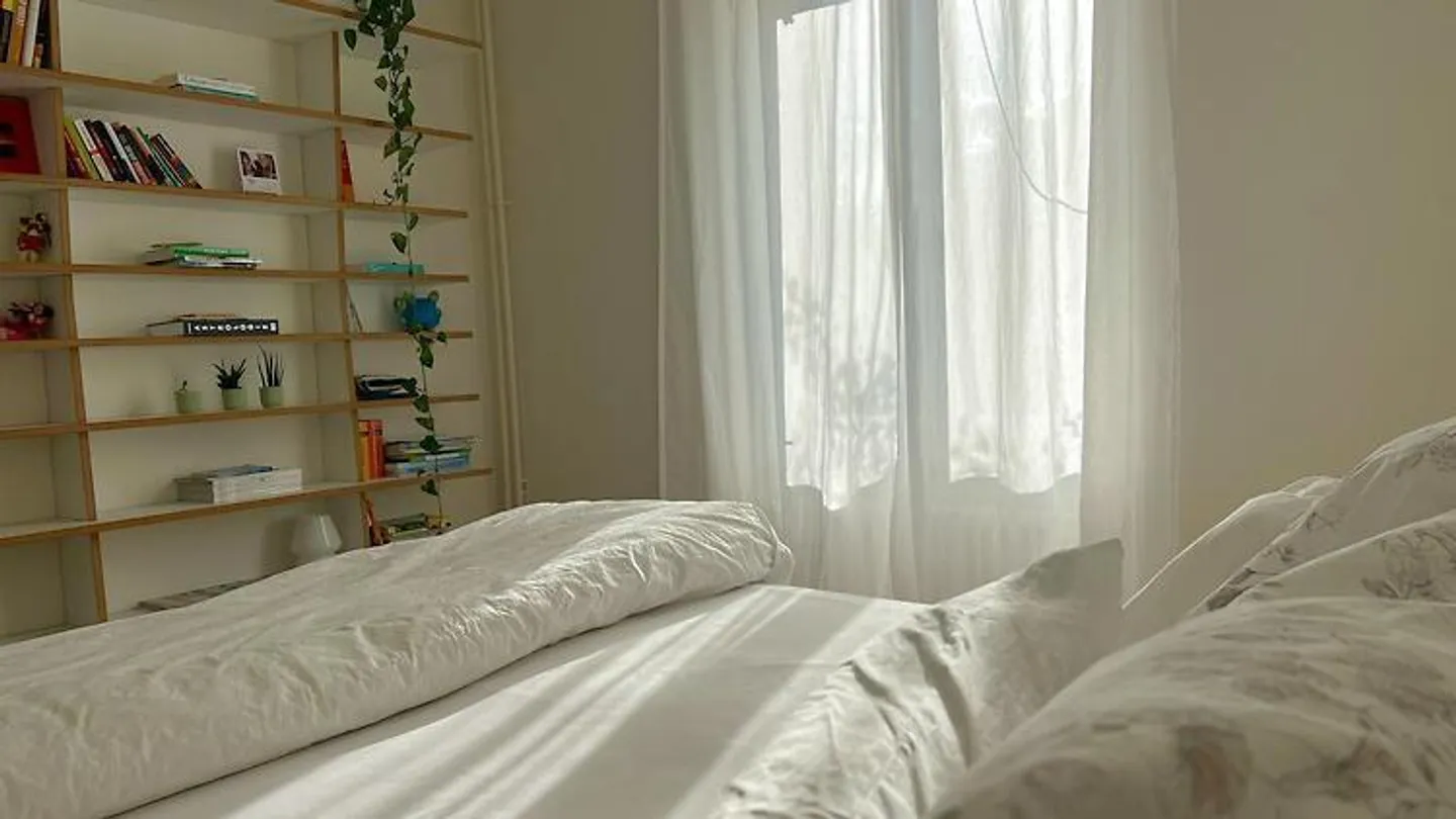 3 ROOM APARTMENT IN ZURICH - DISTRICT 5, FURNISHED, TEMPORARY - Photo 6 of 9