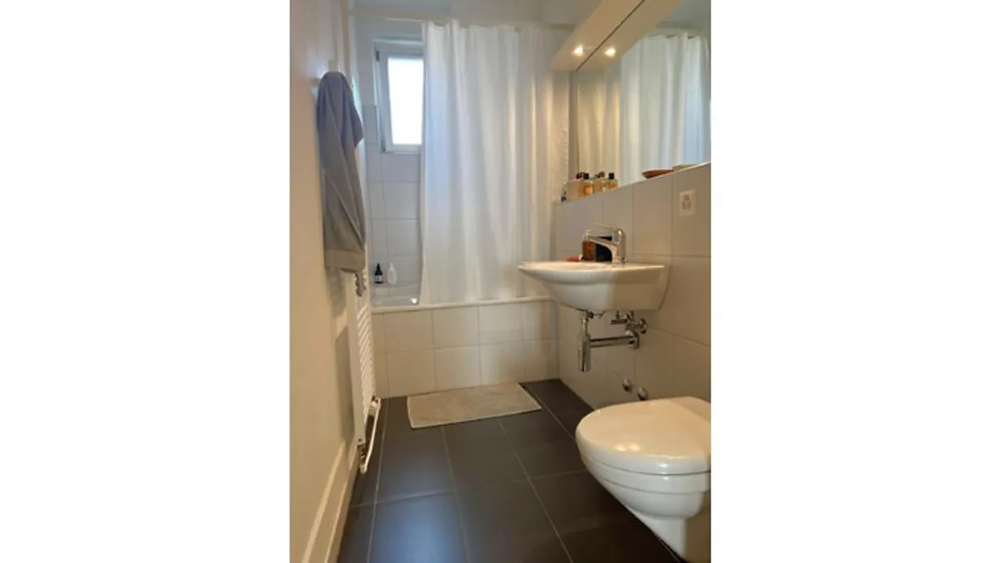 3 ROOM APARTMENT IN ZURICH - DISTRICT 5, FURNISHED, TEMPORARY - Photo 8 of 9
