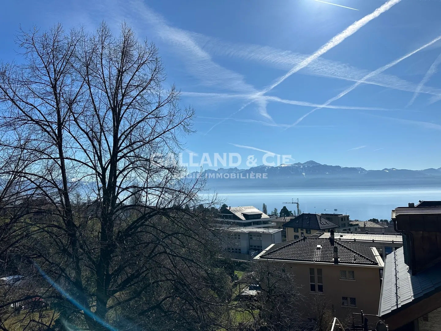 Geräumige Wohnungen in Pully - Foto 1 von 13