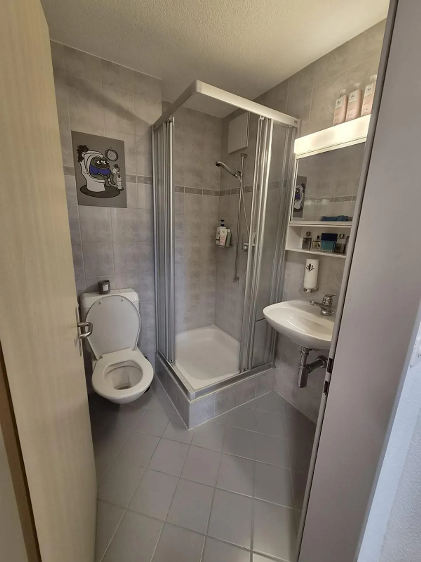 Charmante Wohnung in Schwyz - Foto 5 von 10