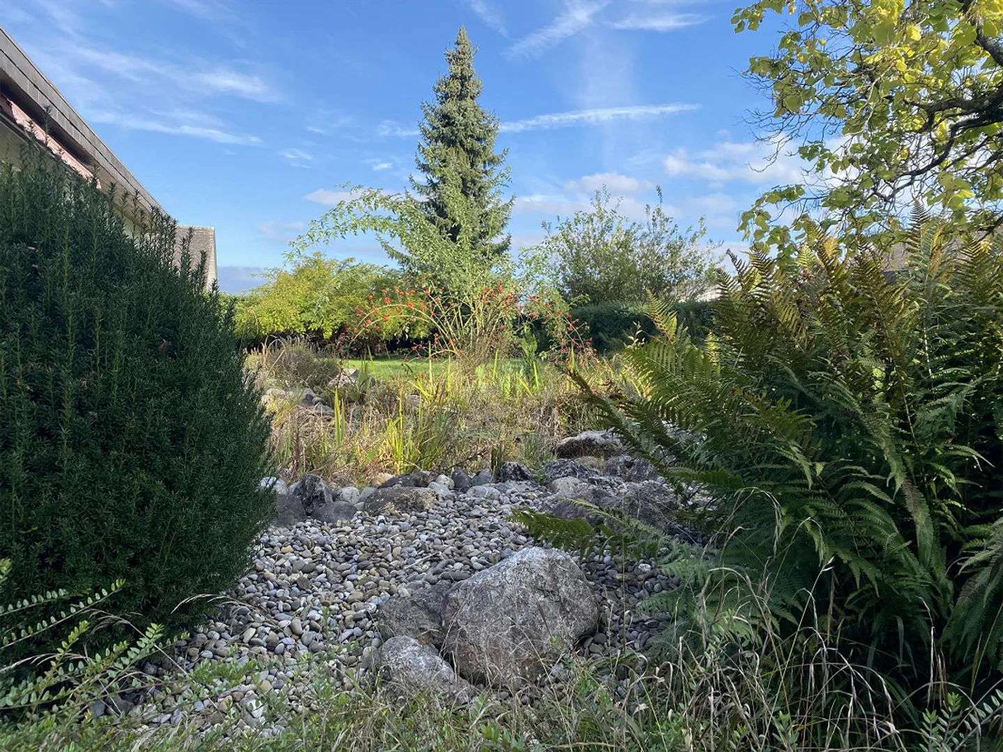 Freistehendes Einfamilienhaus mit Potenzial - Foto 1 von 4