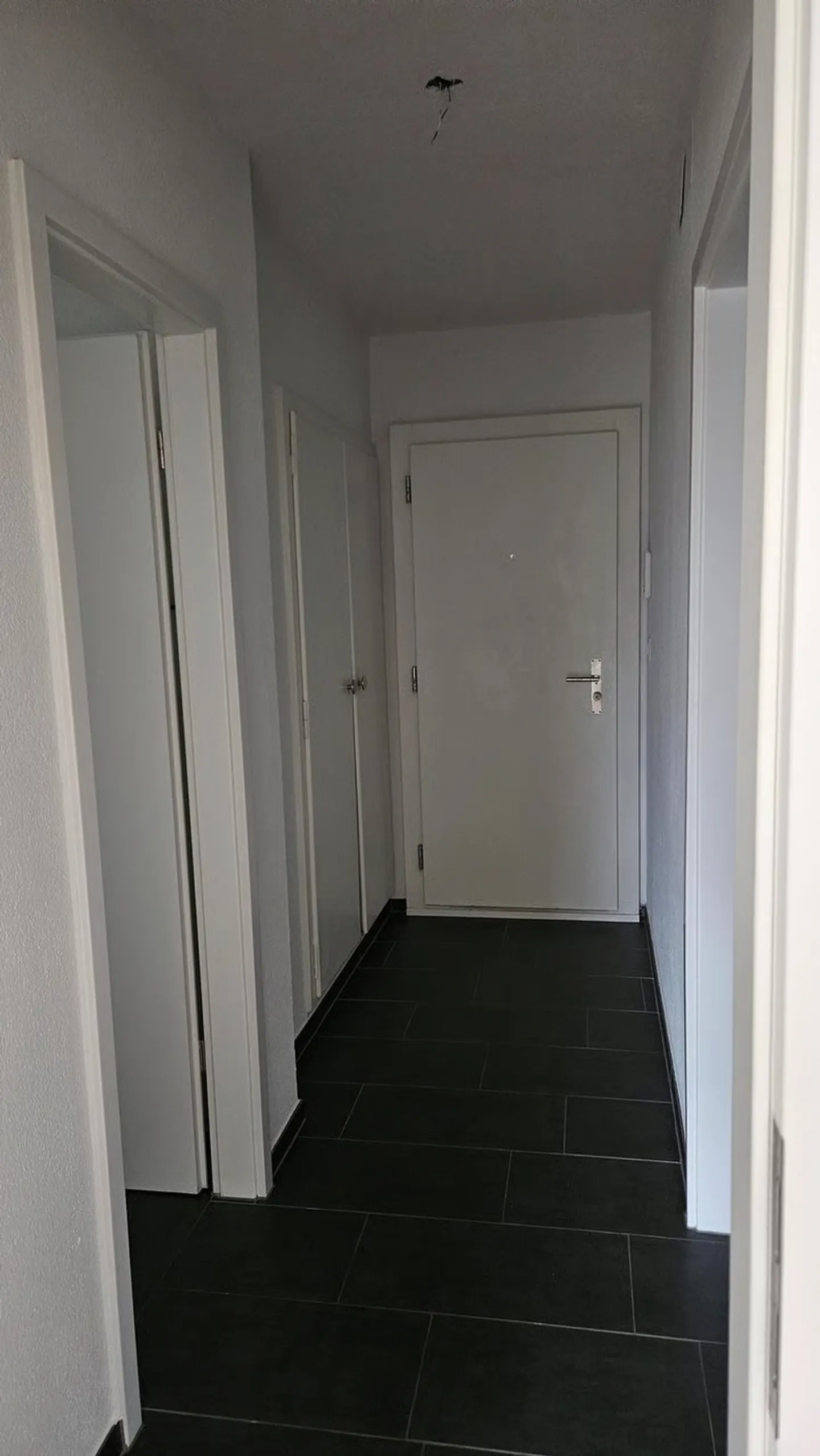 Charmante Wohnung in Brugg - Foto 3 von 9