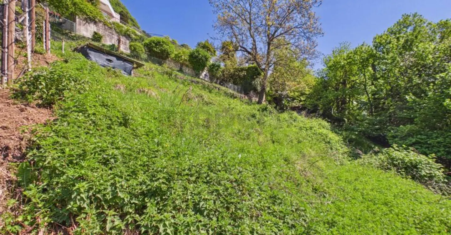 Grand terrain constructible avec vue sur le lac dans une zone tranquille, Viganello - Photo 8 sur 11
