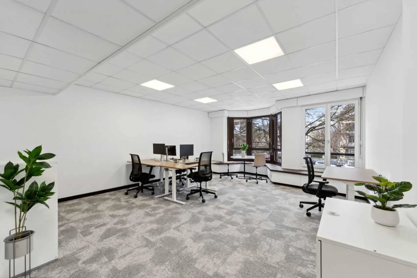 Ufficio 27 m2 - Champel - Foto 11 di 11