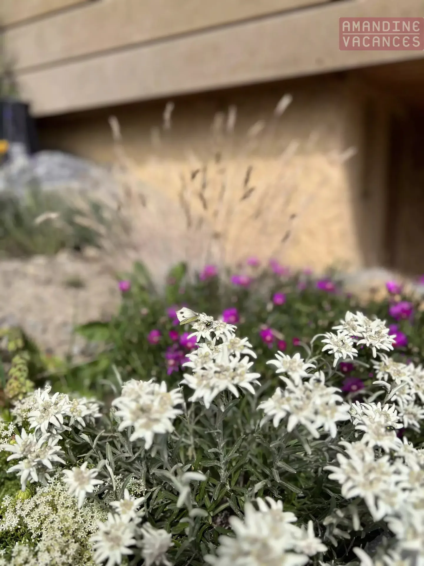 Charmantes 4-Zimmer-Doppelchalet - Foto 16 von 16