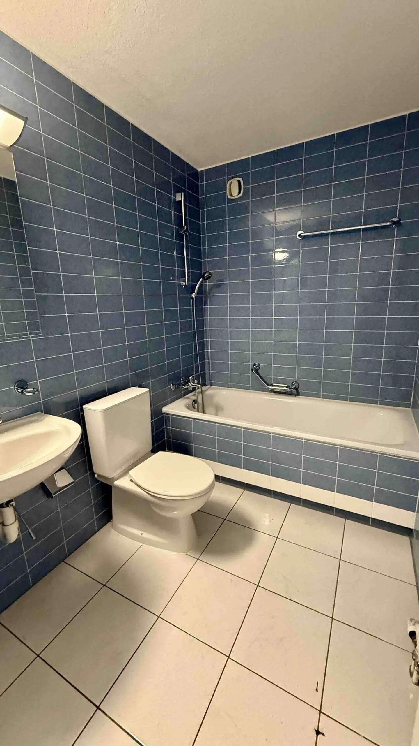 Appartamento 4.5 stanze - Foto 11 di 12