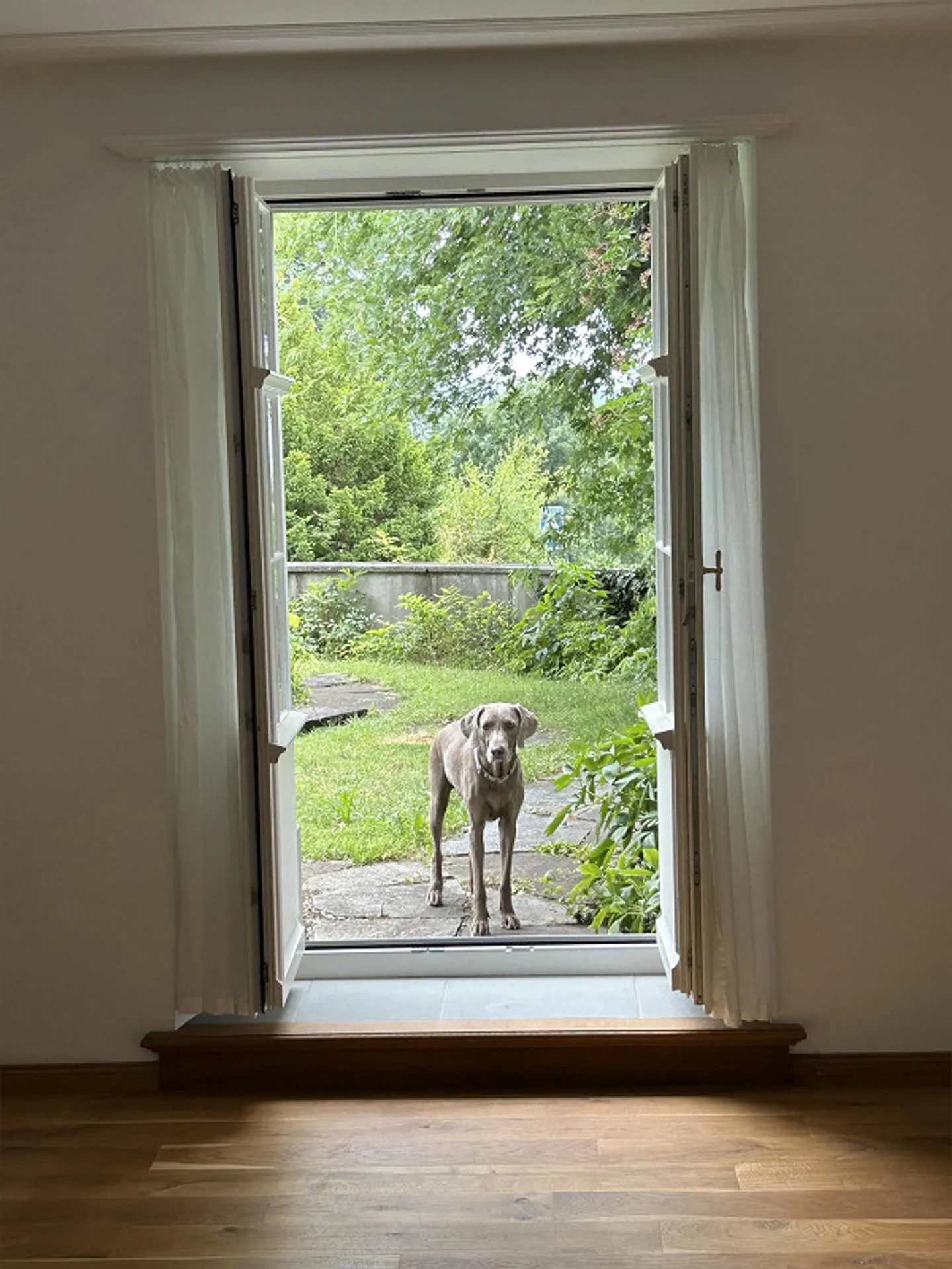 Appartamento eccezionalmente affascinante in una casa maestosa - Foto 5 di 23