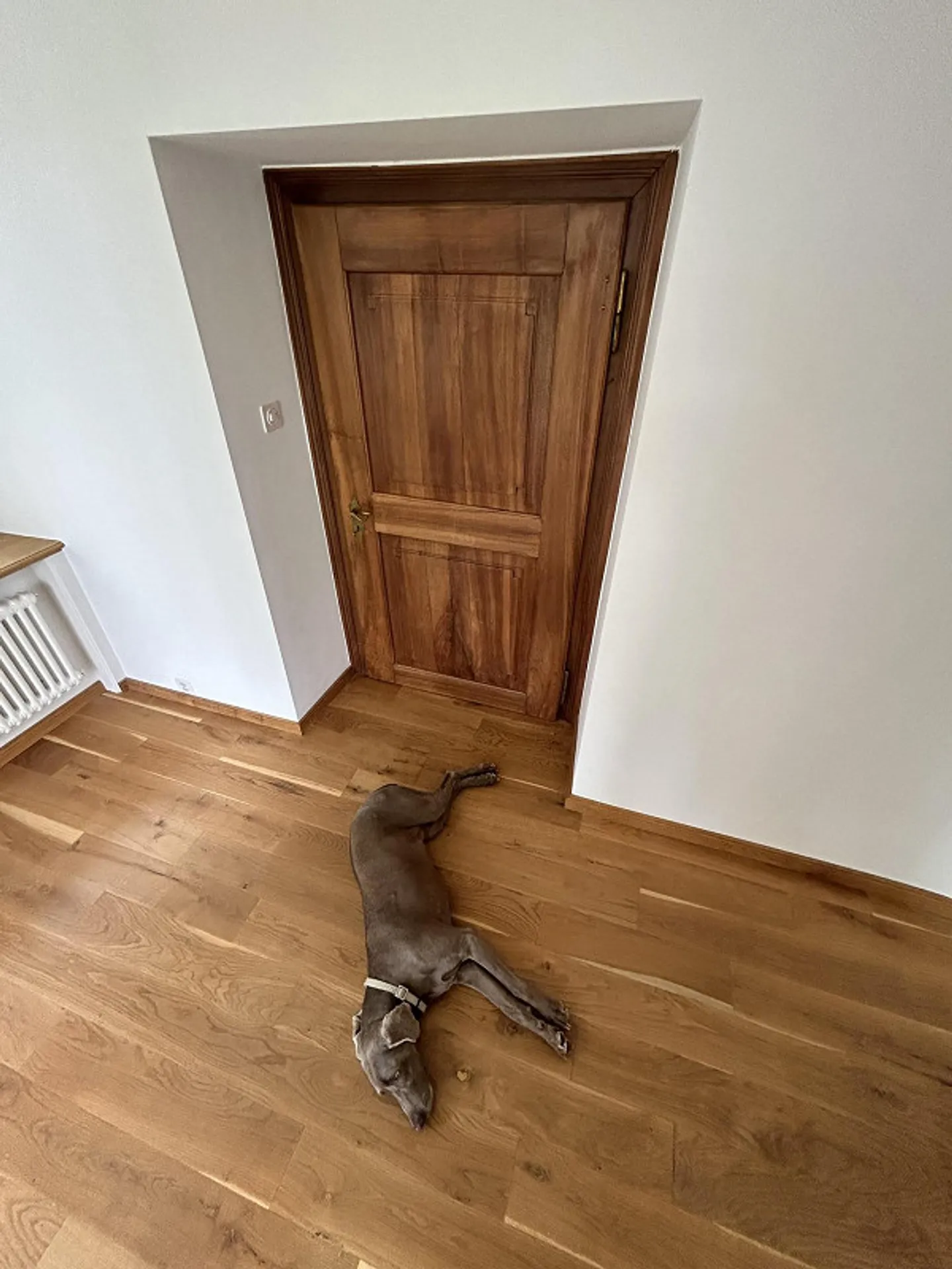 Appartamento eccezionalmente affascinante in una casa maestosa - Foto 23 di 23