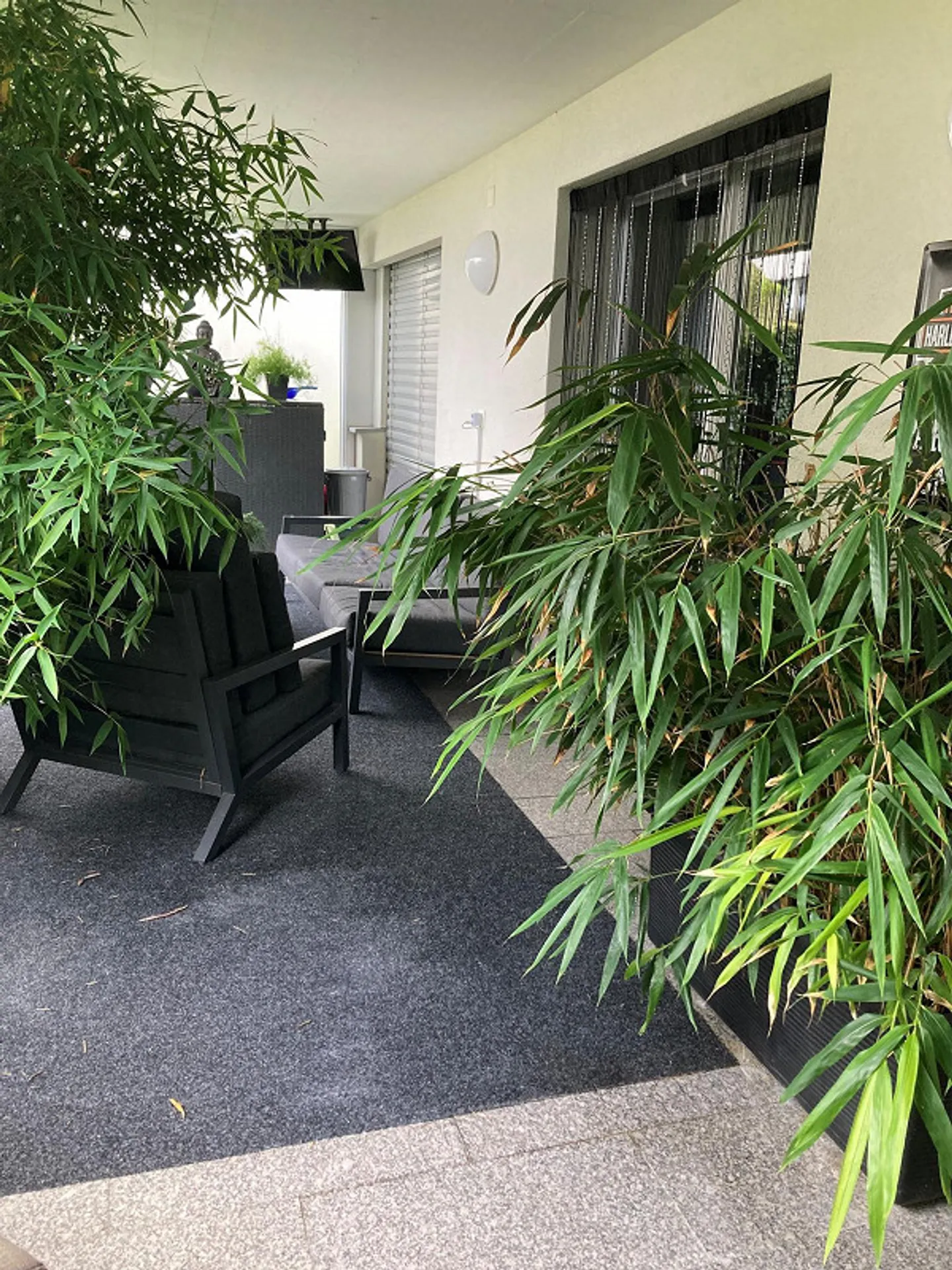 Bellissimo appartamento di 3,5 locali con patio a Schindellegi - Foto 10 di 13