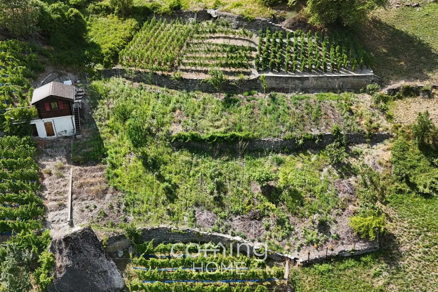 Parcela vitivinicola con casa vitivinicola a Stalden - Viticoltura nella valle di Visp - Foto 2 di 9