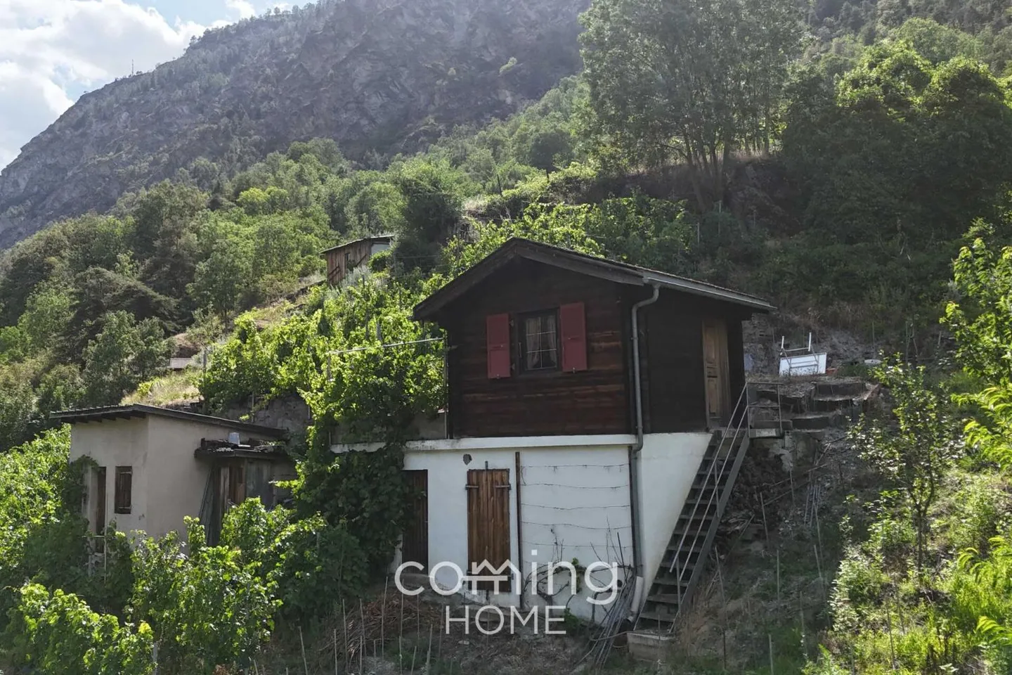 Parcela vitivinicola con casa vitivinicola a Stalden - Viticoltura nella valle di Visp - Foto 5 di 9