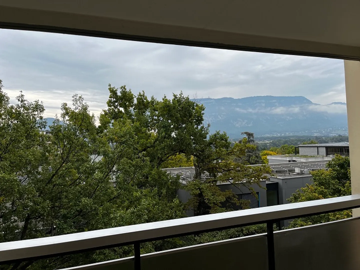 4-Zimmer-Wohnung - Foto 5 von 6
