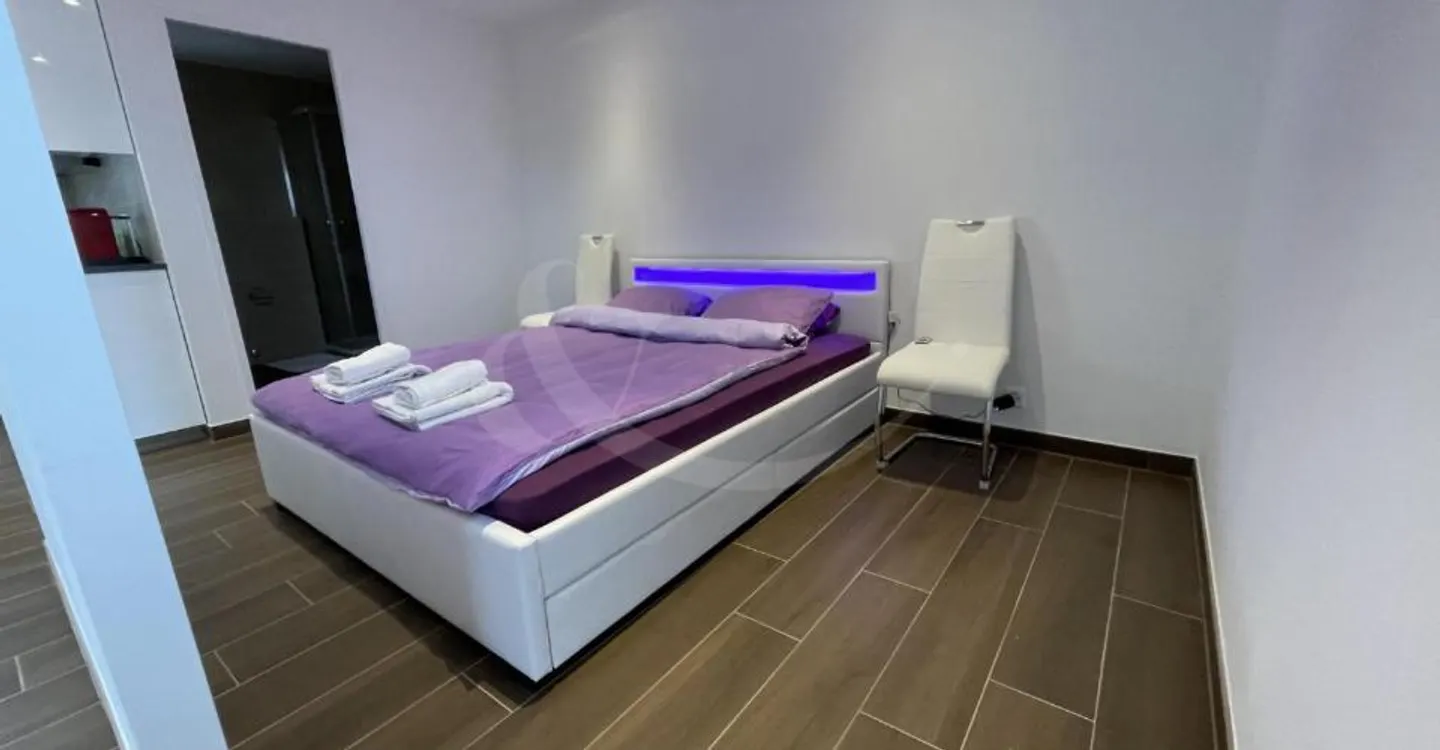 La Voie-De-Gex 6, furnished 2-room apartment on the garden level in Grand-Saconnex - Photo 2 of 5